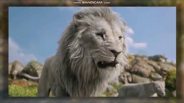 bandicam 2024-12-28 00-04-10-353