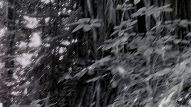 Клетницитe Les Miserables   (1998) Бг Аудио Част 1