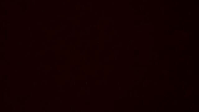 Като птица съм свободна гледайте как планетчо ще думне просто хахахахахаха ще ме върне в пайнер накрая