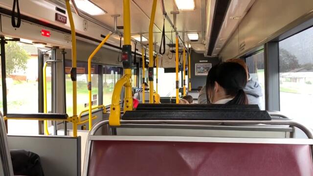 southlink_adelaide_#2224_-_man_nl202_(zf) (720p)