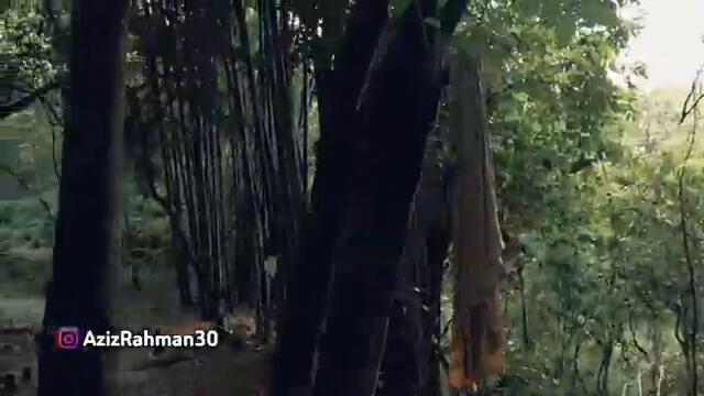 PALING UNIK DAN ANEH!! 10 TAHUN TIDUR DI RUMAH POHON BERTAHAN HIDUP 24 JAM DI DALAM HUTAN