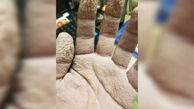 Что нас ждёт, если