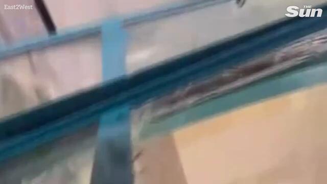 Moscow bomb blows up Putin death squad chief as ‘Ukraine targets warlord' in luxury apartment