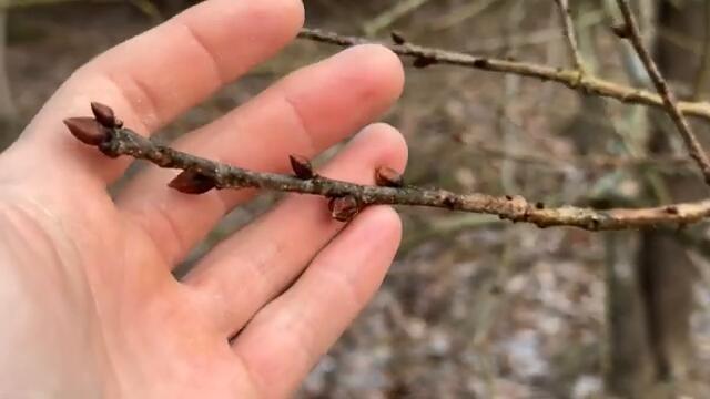 ПОКОПАЛИ НА «УРА!» КОП ПО ВОЙНЕ! WW2 METAL DETECTING