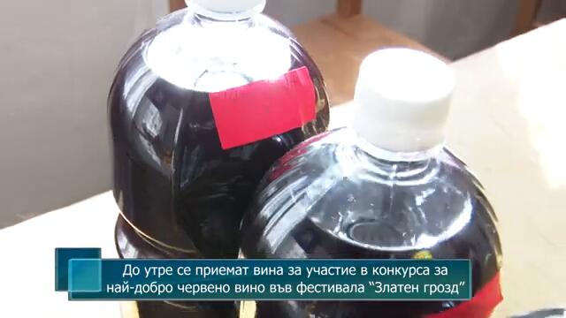 До утре се приемат вина за участие в конкурса за най-добро червено вино във фестивала “Златен грозд”