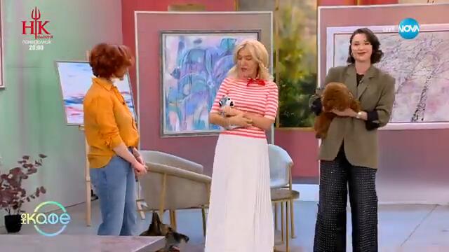 Британски експерт тълкува поведението на Бел от „Красавицата и Звяра“ - „На кафе“ (07.02.2025)