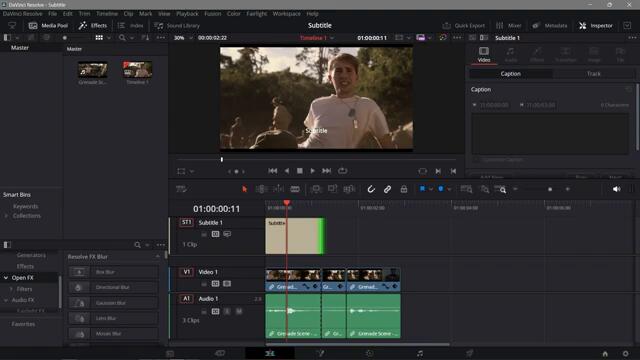 How to Add Subtitles in Davinci Resolve 18 (Quick & Easy)