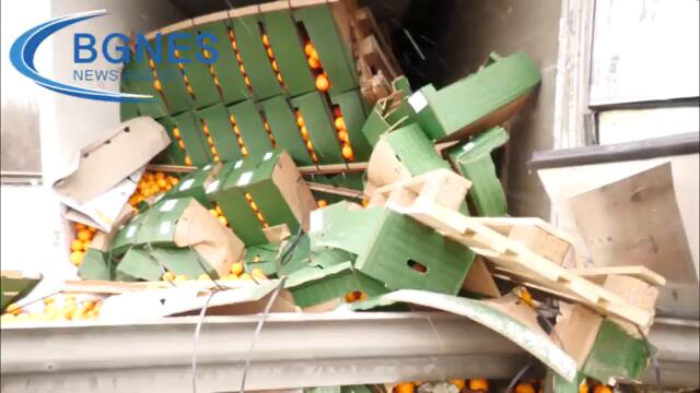 Четирима загинали и много ранени при тежка катастрофа край Видин