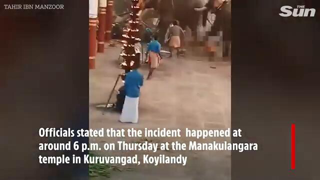 Terrifying moment elephants go on rampage killing at least 3 & injuring 30