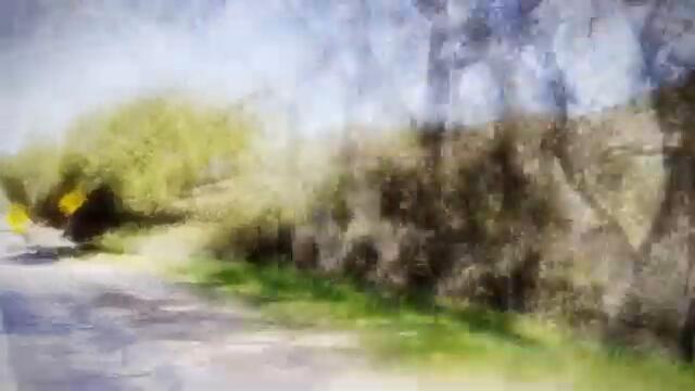 Julia Kate - Beautiful Disaster (Official Music Video)