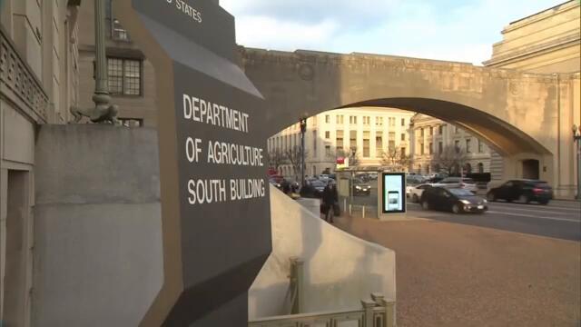 President Trump and Elon Musk hold joint interview discussing Dept. of Government Efficiency