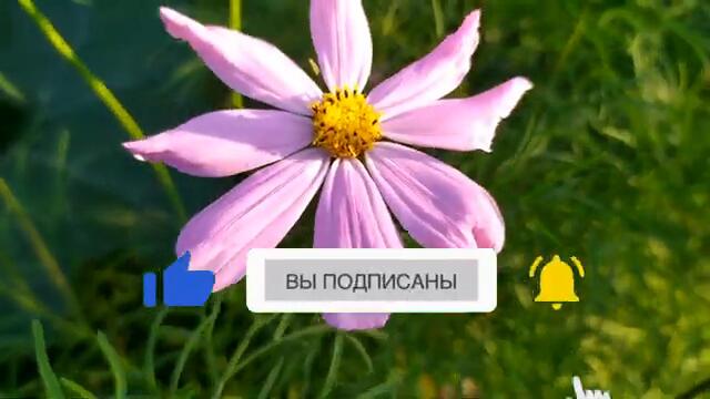 Безграничная любовь 53 серия русская озвучка Турецкий сериал | Обзор