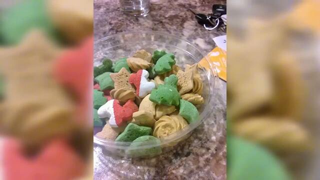 Совместный быт смех сквозь слезы