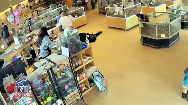 Thieves Fake Seizure to Steal Puppies: Cops