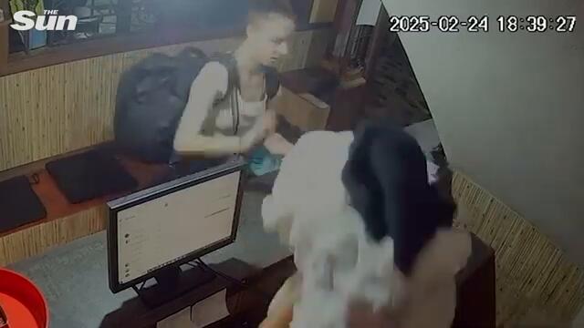 CCTV shows last sighting of missing Brit as desperate search continues