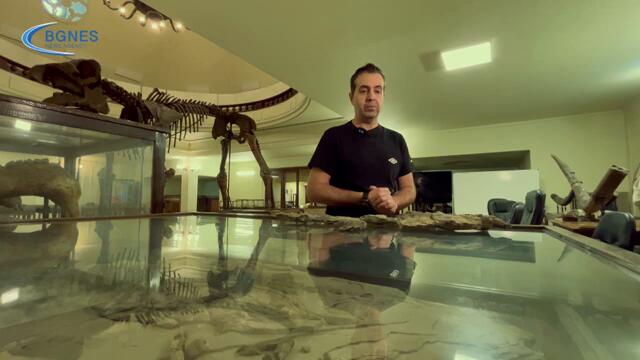 Мозазавърът - праисторическият върховен хищник на България