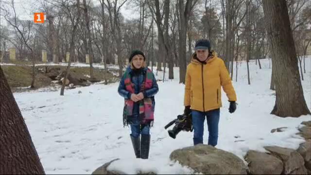 Млади българи, които произвеждат качествена храна в България, "Бразди" 01.03.2025