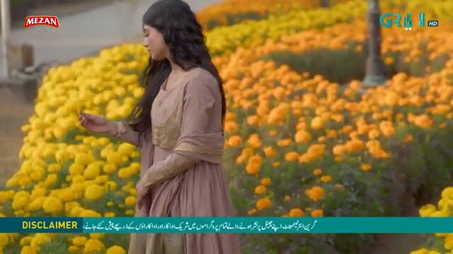 Ishq Di Chashni Ep 01 - 2nd March 25 - Meezan,Taptap Send,Lux ( Sehar Khan, Khushhal Khan ) Green TV