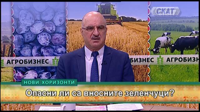 ОПАСНИ ЛИ СА ВНОСНИТЕ ЗЕЛЕНЧУЦИ?