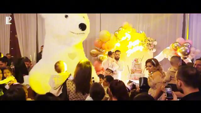 КЮЧЕКА НА КРАВАТА ЛОЛА