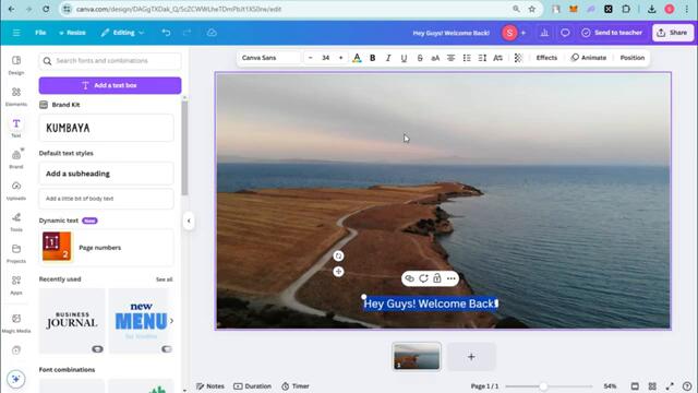 How to Make Subtitles in Canva