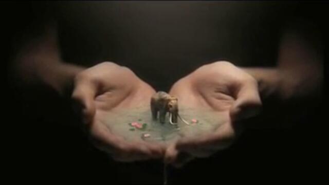 Viasat Nature ID   Elephant