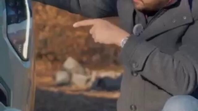 Първата ЕА регистрация в България!#kia #kiaev3 #ev