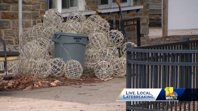 See the Maryland Zoo  in a whole new way