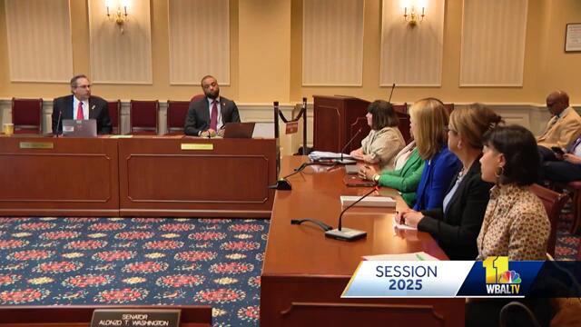 Panel hears bill which would expand abortion access