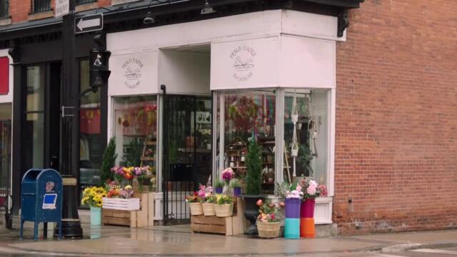 Разходка в небето A Bestselling Kind of Love (2024)  Бг Аудио Част 1