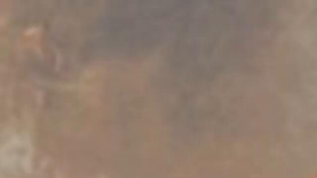 Fredo Bang x TEC ft. BG - Stay Ready (Visualizer)