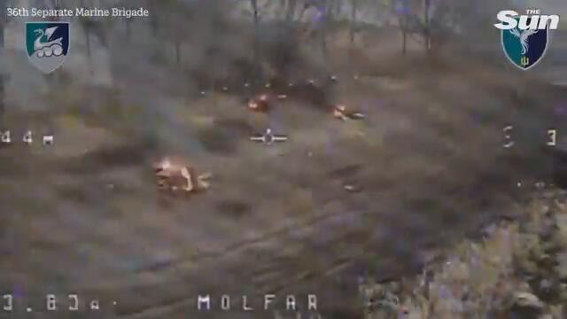 North Korean quadbike troops WIPED OUT as Putin sends waves into meatgrinder