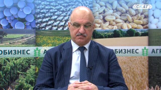 СКОРО ВМЕСТО БЯЛО ЩЕ ЯДЕМ ЧЕРНО ПИЛЕШКО!