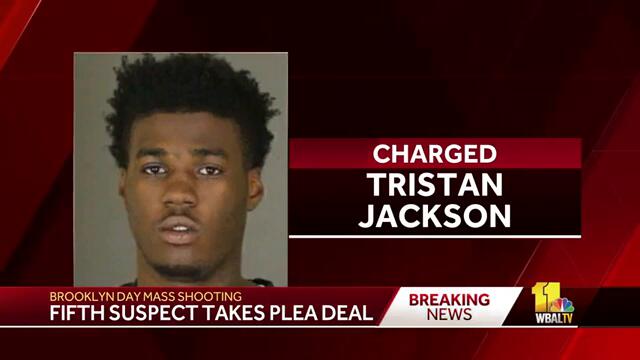 Mass shooting suspect takes plea deal