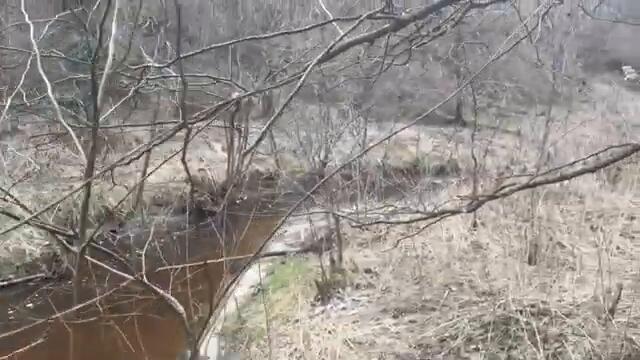 КОП НА СТАРОЙ РЕКЕ! НЕМЕЦКИЙ ХУТОР! METAL DETECTING