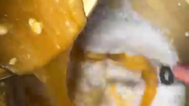 Маковий рулет (рецепт у коментарях) #рецепт #рецепти #рулет #рецептиукраїнською