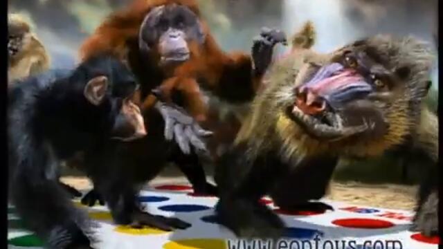 Twister from EON Entertainment   www eontoys com