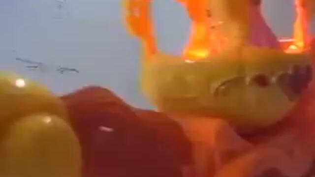 รถม้าเจ้าหญิง   Concepttoy shop