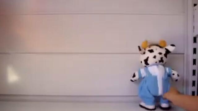 Музикално животно www rayatoys com