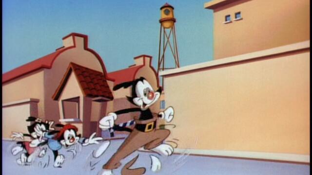 Animaniacs S05-E06