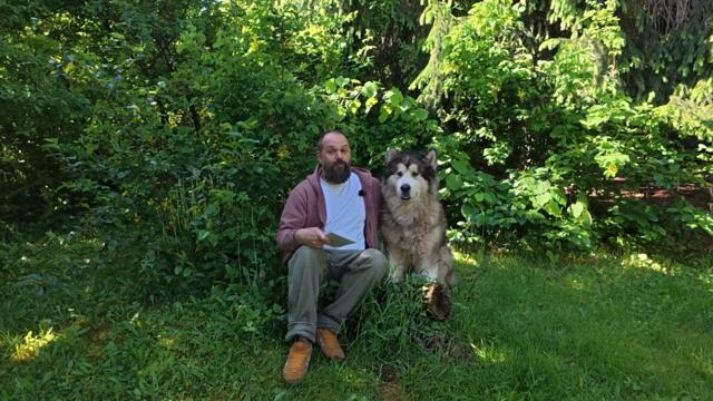 Разделянето на Украйна започна. Тръмп и Путин ще се срещнат в Саудитска арабия – 20.05.2025 г.
