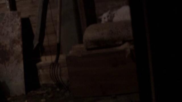 Последният екзорсизъм The Last Exorcism   (2010) Бг Аудио Част 2