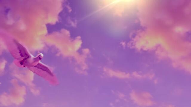 Легенда за пеперудите Butterfly Tale  (2023)  Бг Аудио Част 1