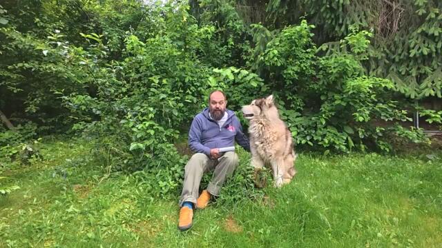 Симонян- Кремъл допуска отговор ако Москва бъде атакувана с германски ракети