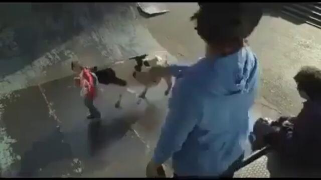videoplayback 59