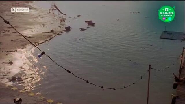 Волният Уили: Бягство от пиратския залив (2010) (бг аудио) (част 2) TV Rip bTV Cinema 06.06.2025