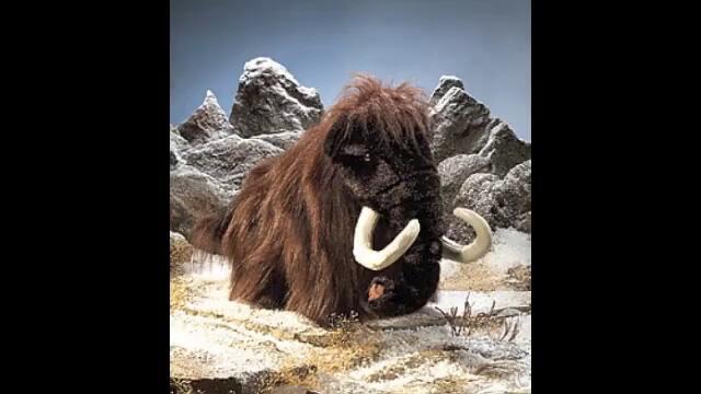 Woolly Mammoth Tribute