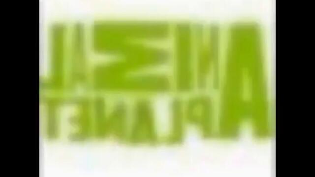 videoplayback 3