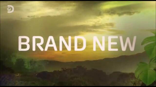 Discovery Channel Europe - Continuity (14 July 2022)
