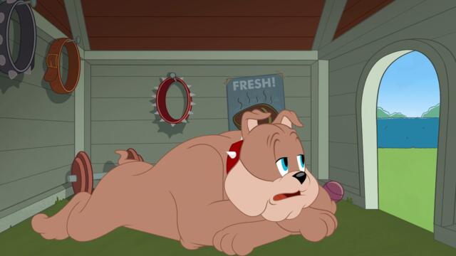 Шоуто на Том и Джери - Сезон 3 Епизод 51 (Опасен район) (БГ Аудио) / Tom and Jerry Show - S3E51 (BG Audio)